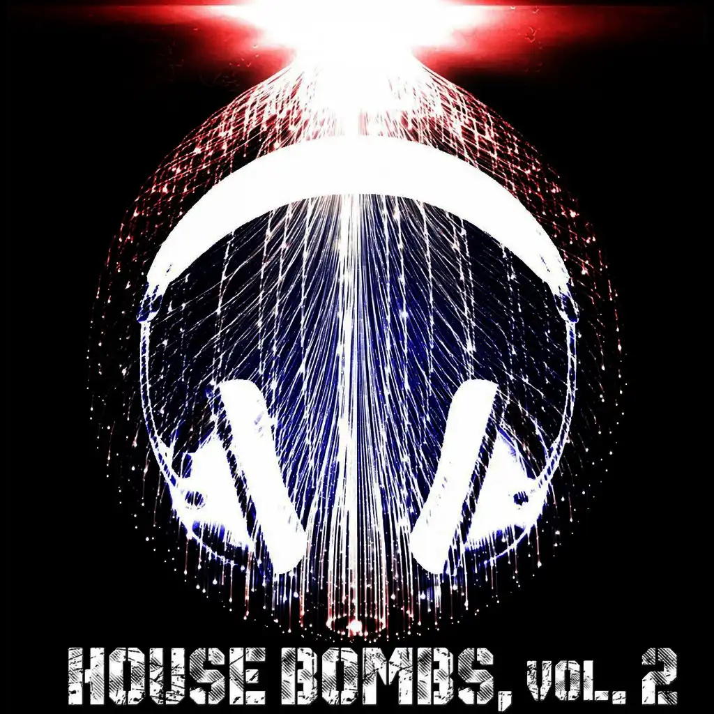 House Bombs, Vol. 2 - 20 Top Grooves