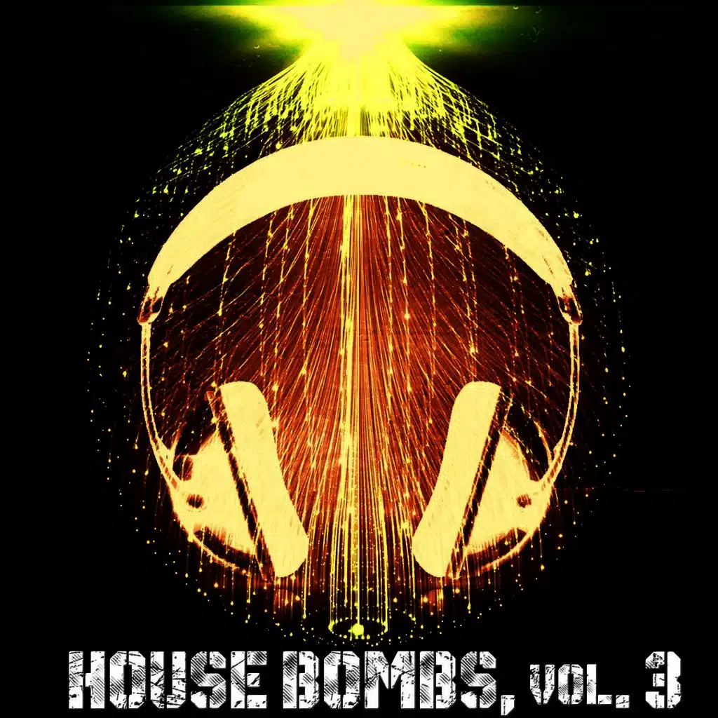 House Bombs, Vol. 3 - 20 Top Grooves