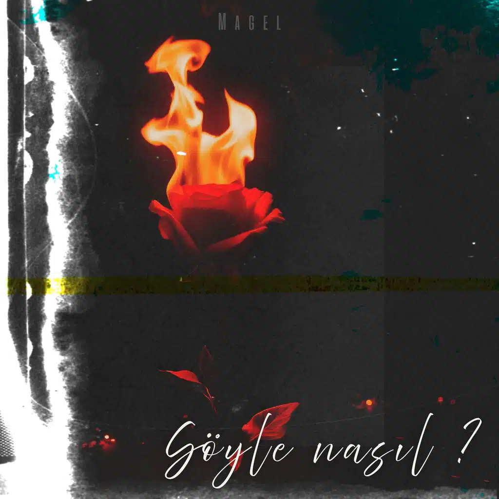 Magel