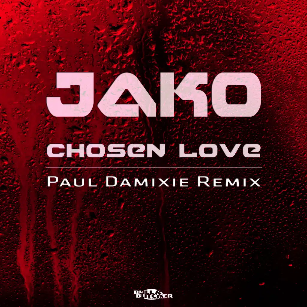 Chosen Love (Paul Damixie Remix)