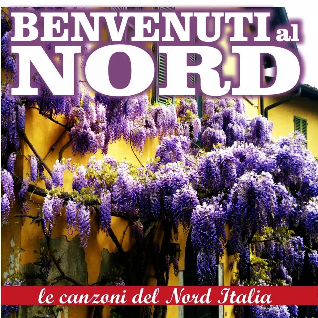 Benvenuti al nord