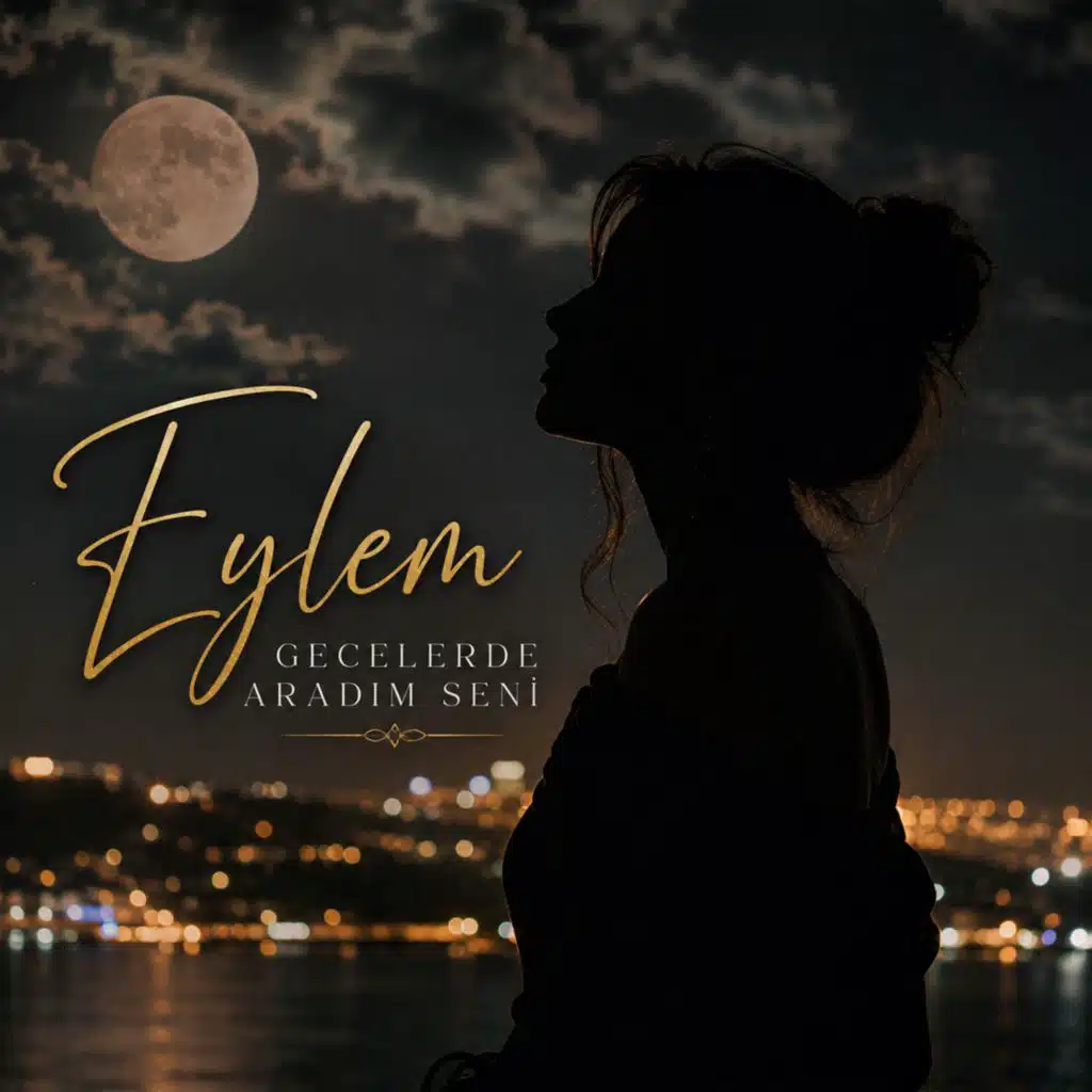Gecelerde Aradım Seni