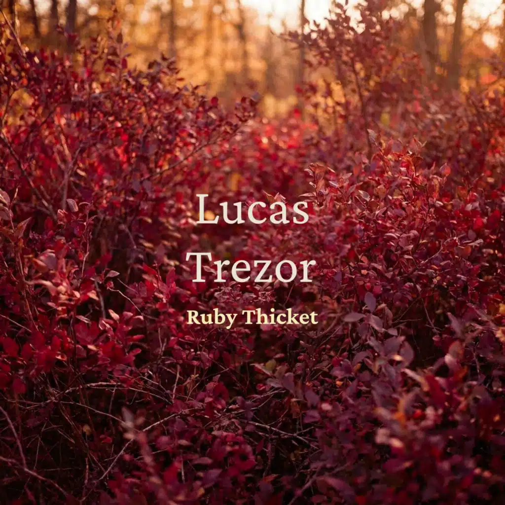 Lucas Trezor
