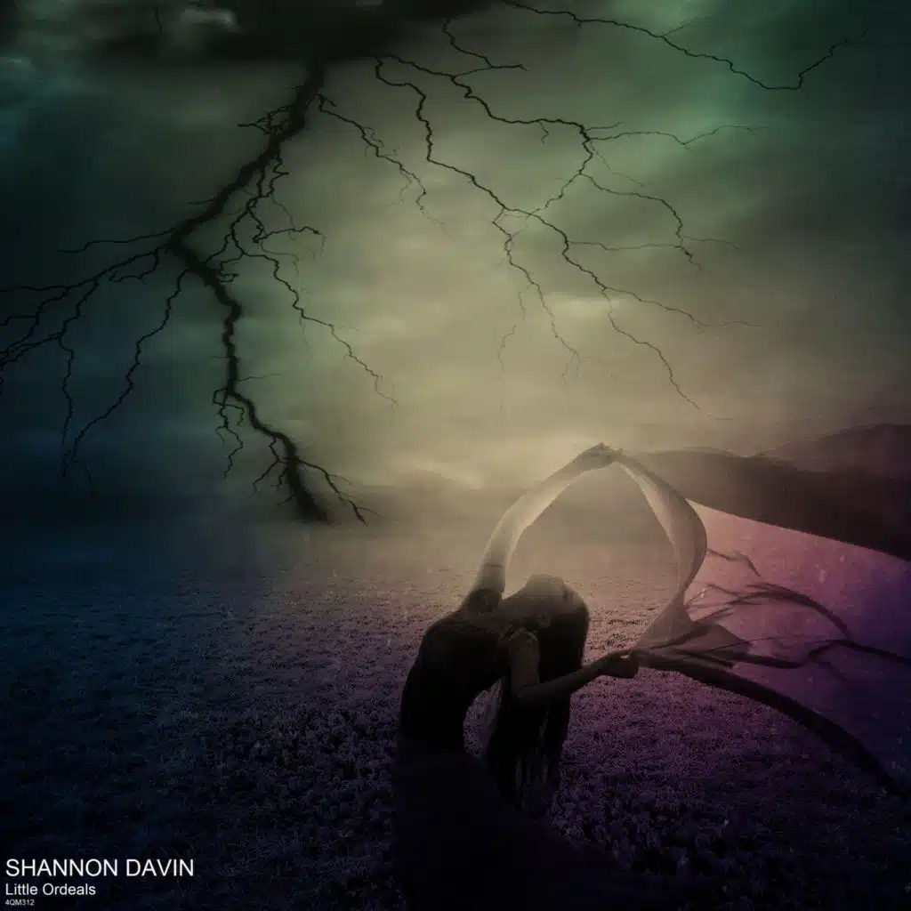 Shannon Davin