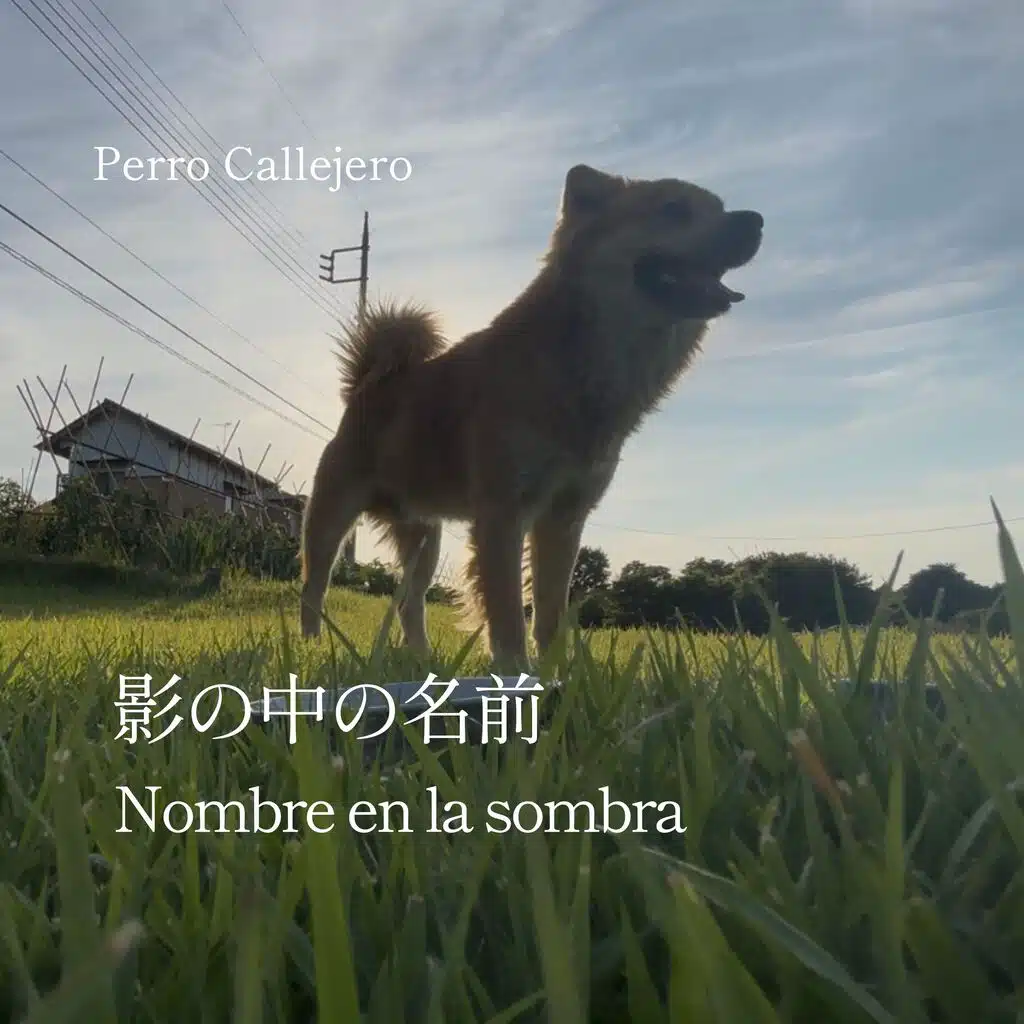 Perro Callejero