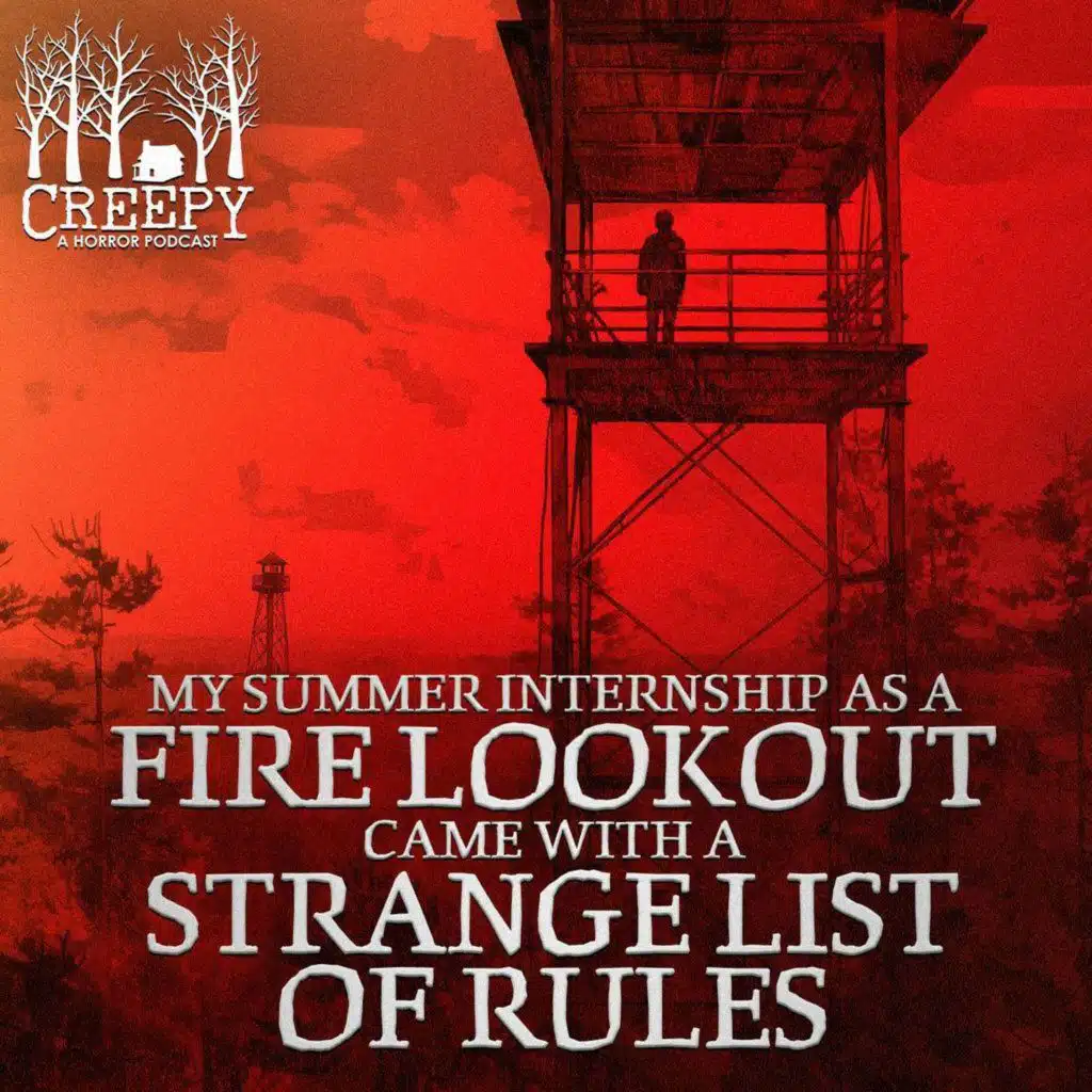 My Summer Internship As a Fire Lookout