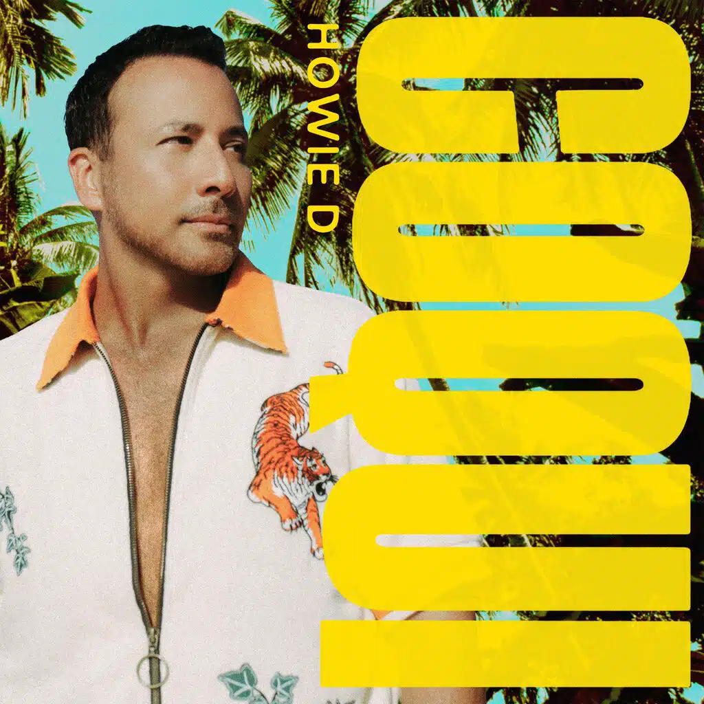 Howie D