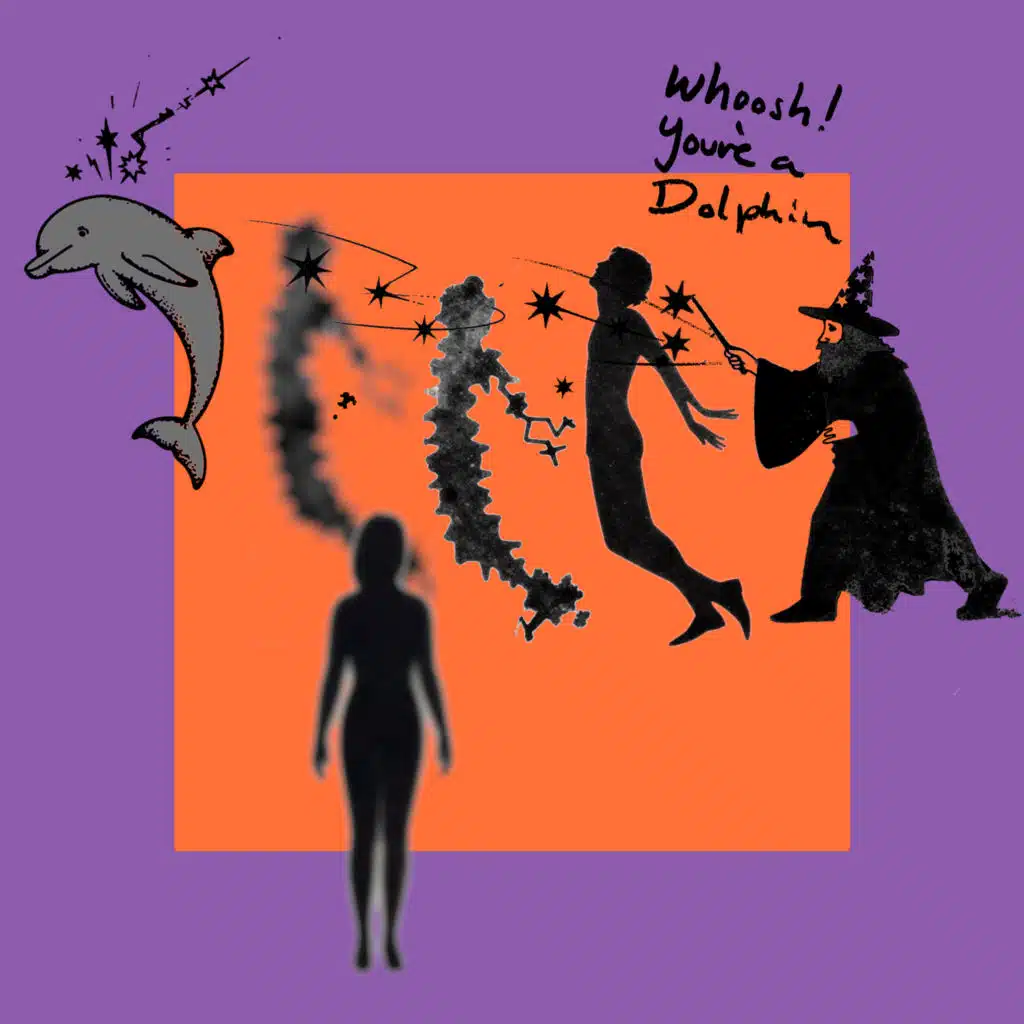 Whoosh! You're a Dolphin