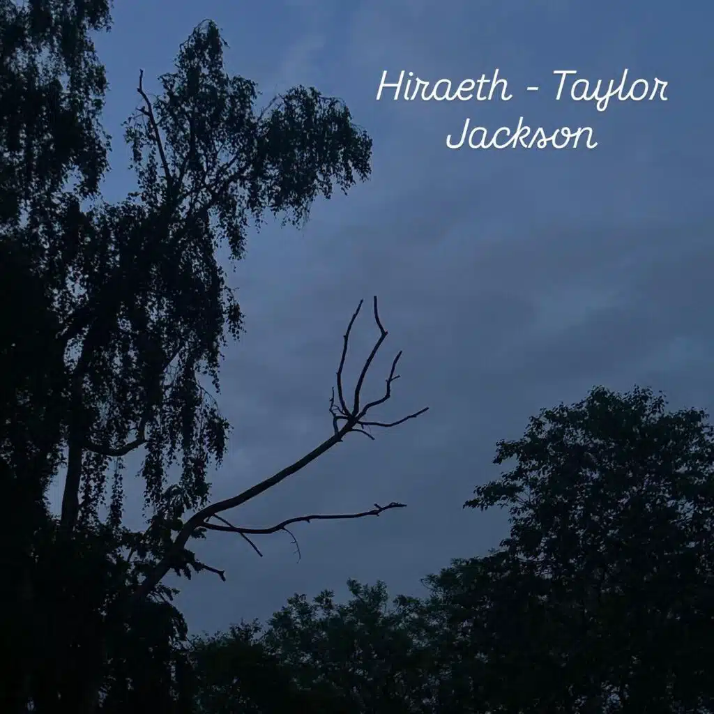 Taylor Jackson