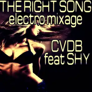 The Right Song (Electro Mixage)
