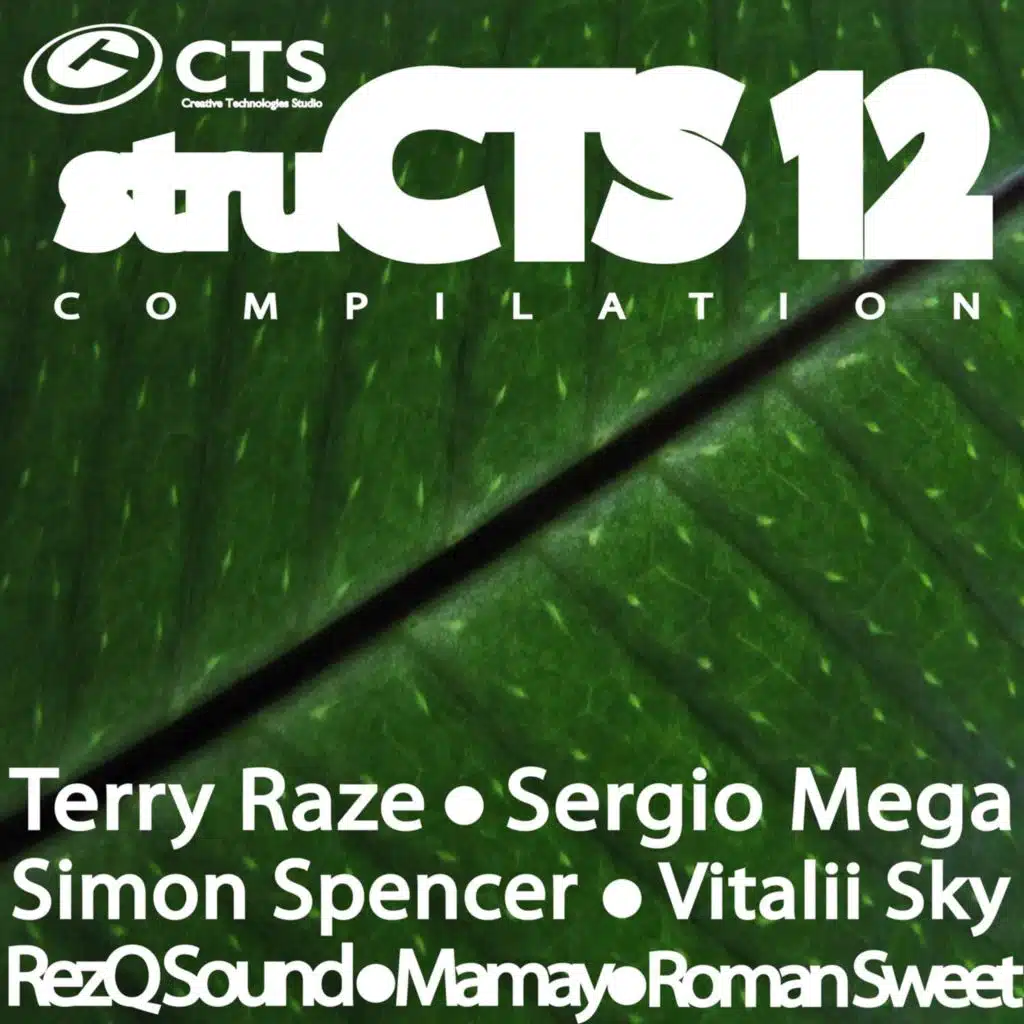 Structs Vol.12