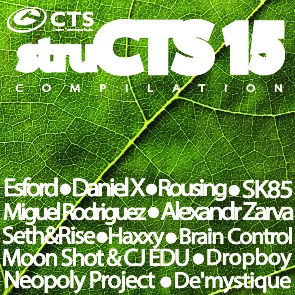 Structs Vol.15
