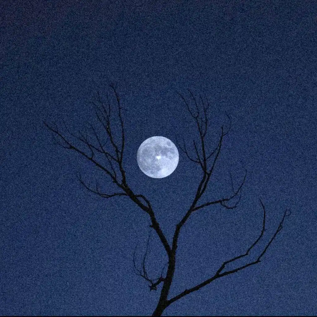 AnointedTheBeautifulAngel