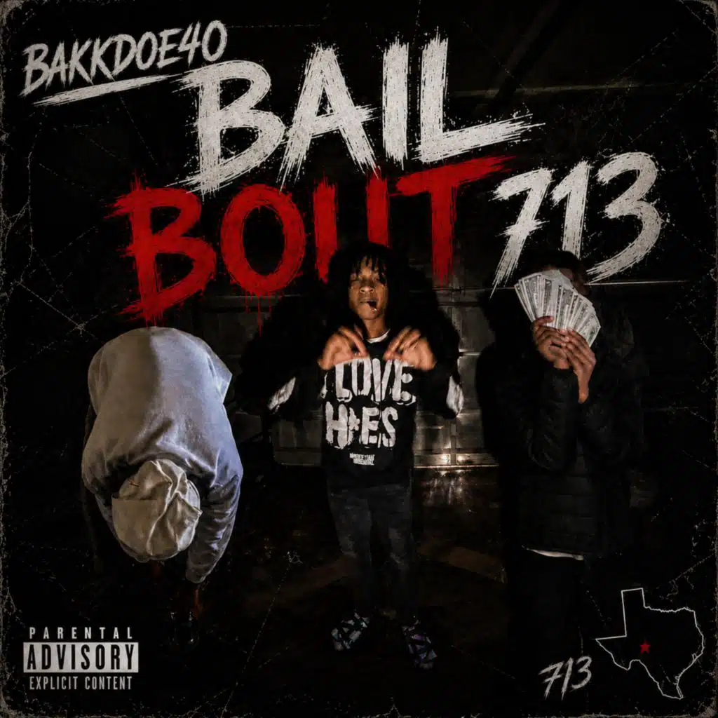 BAIL BOUT 713