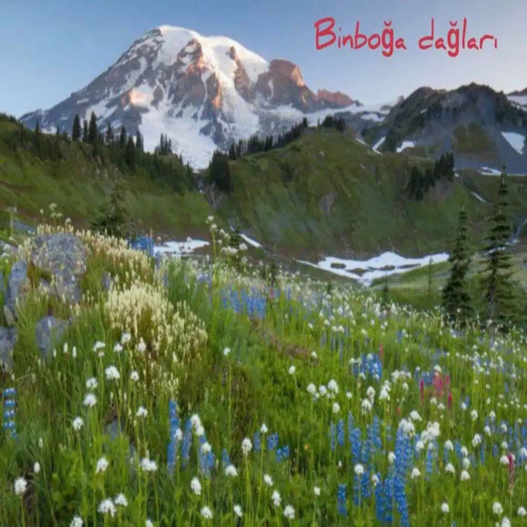 Binboğa Dağları