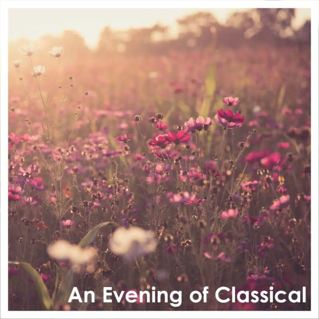 Mozart: Sonata for Keyboard and Violin in C Major, K. 6: III. Menuet I-II
