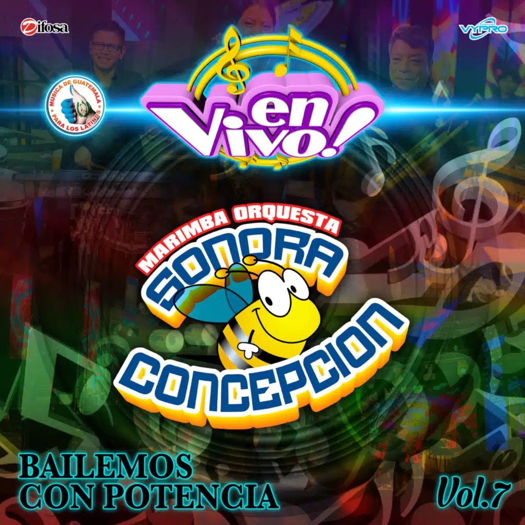 Marimba Orquesta Sonora Concepción