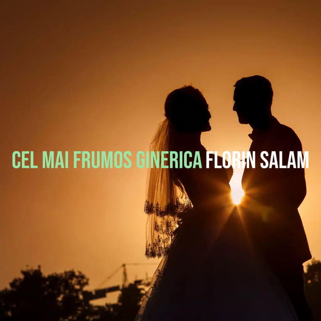 Florin Salam