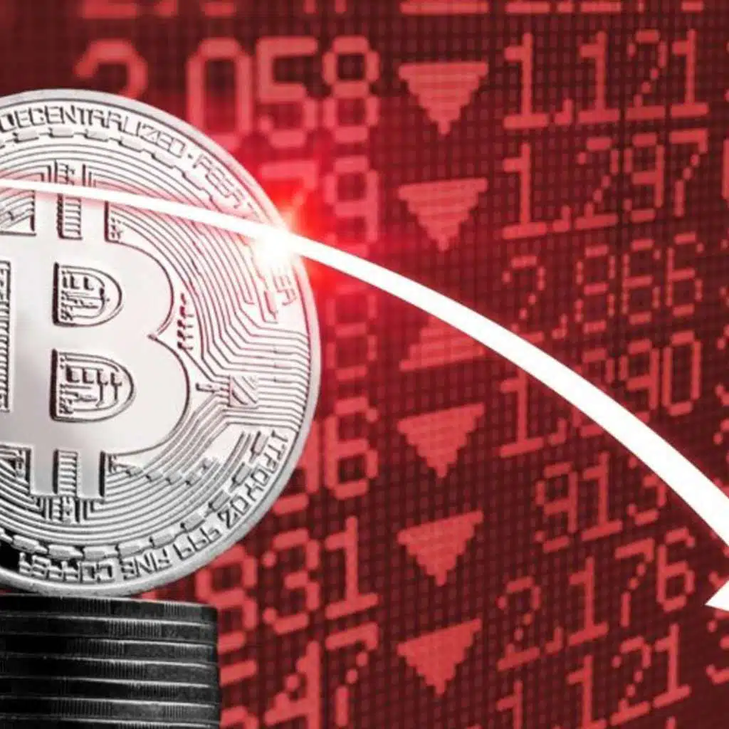 Bitcoin Eyes Break Below 50K, Stablecoins Under Scrutiny Urge Reform, Trump Family Wins Big Crypto, Jericho Teams with Kokopi Koalas NFT, and more...