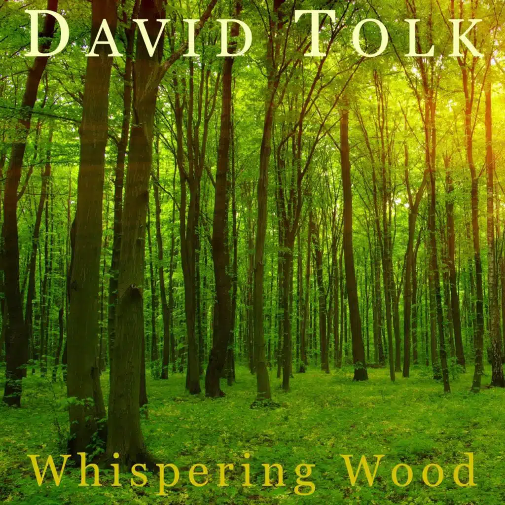 David Tolk