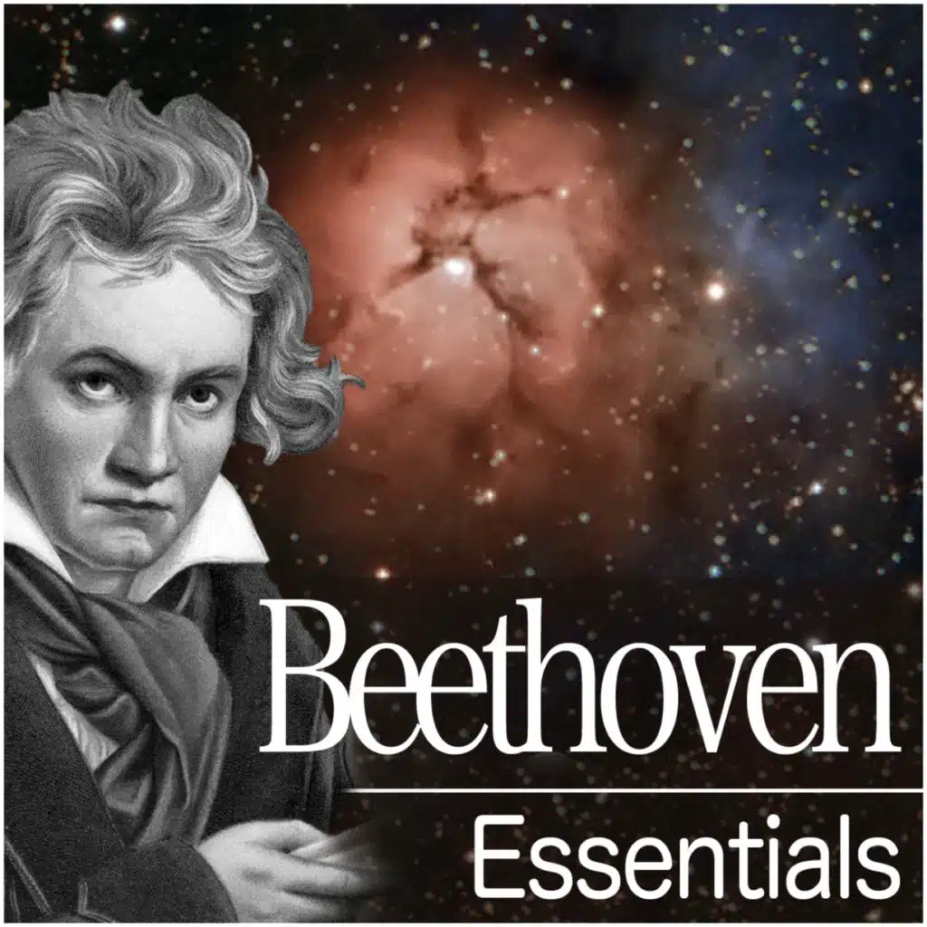 String Quartet No. 1 in F Major, Op. 18 No. 1: I. Allegro con brio