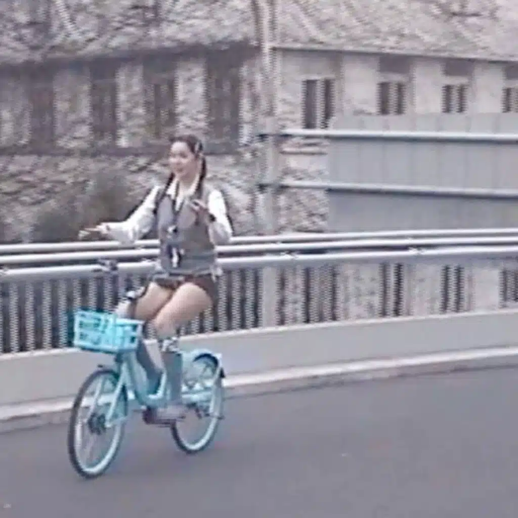 niu bi