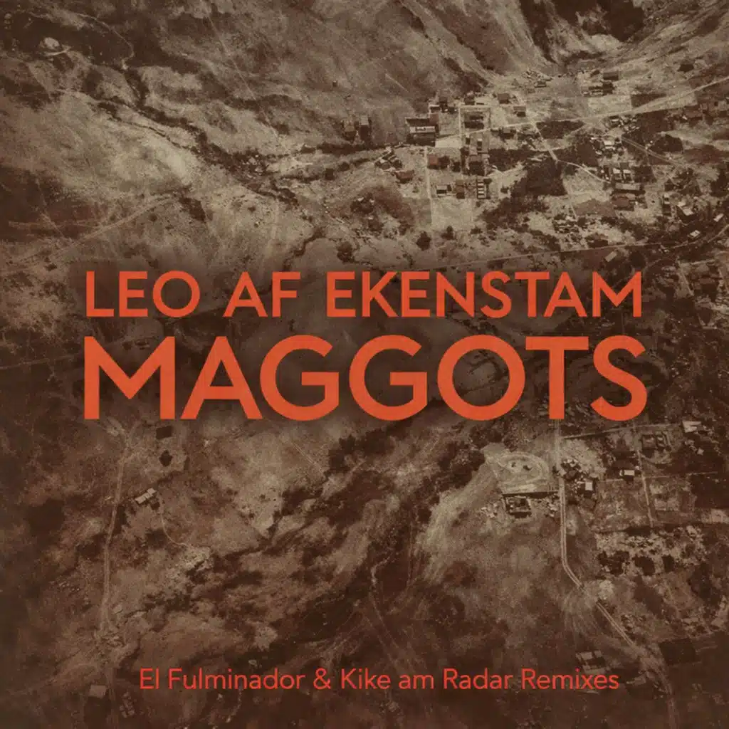Maggots