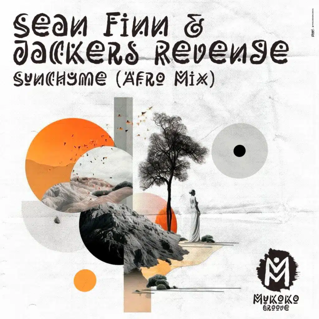 Sunchyme (Afro Mix)