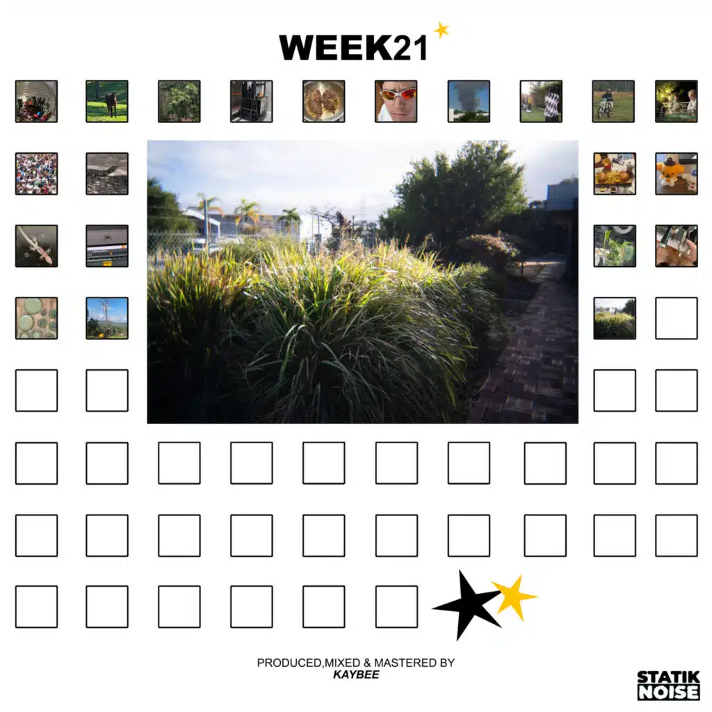 WEEK21