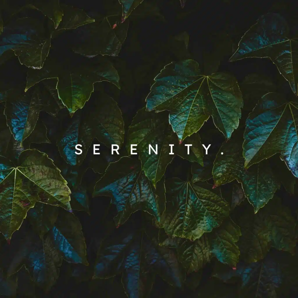 Serenity