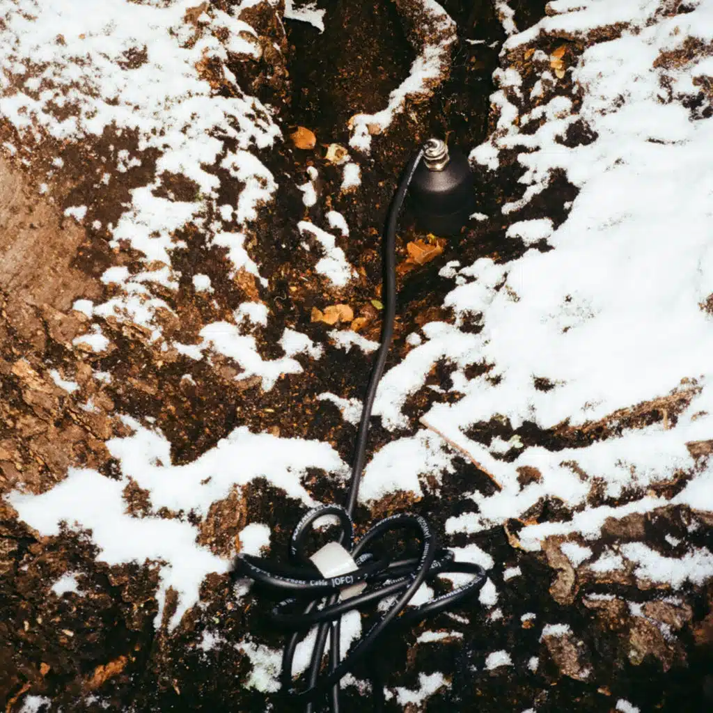Los Árboles nos dejan oír el Bosque