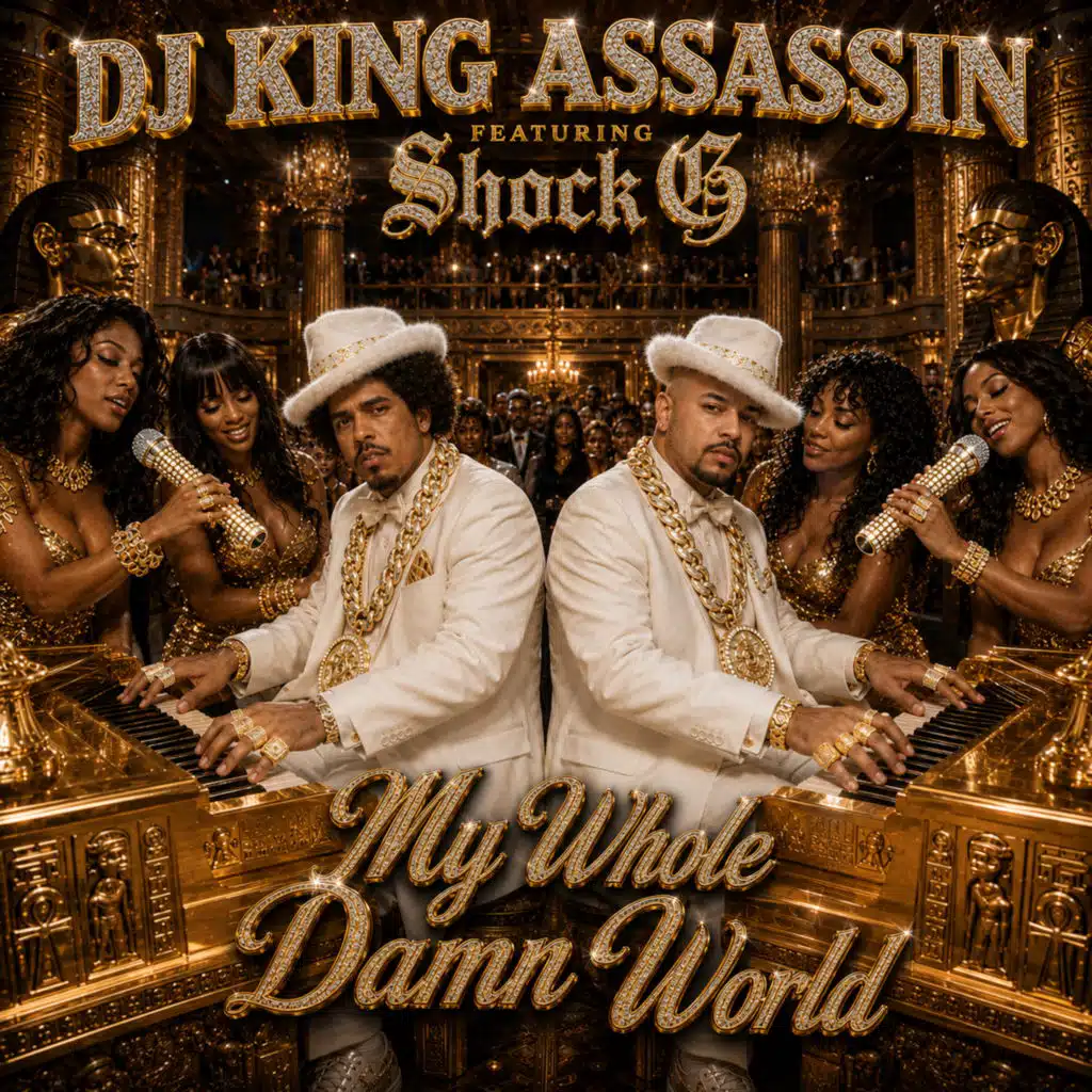 DJ King Assassin