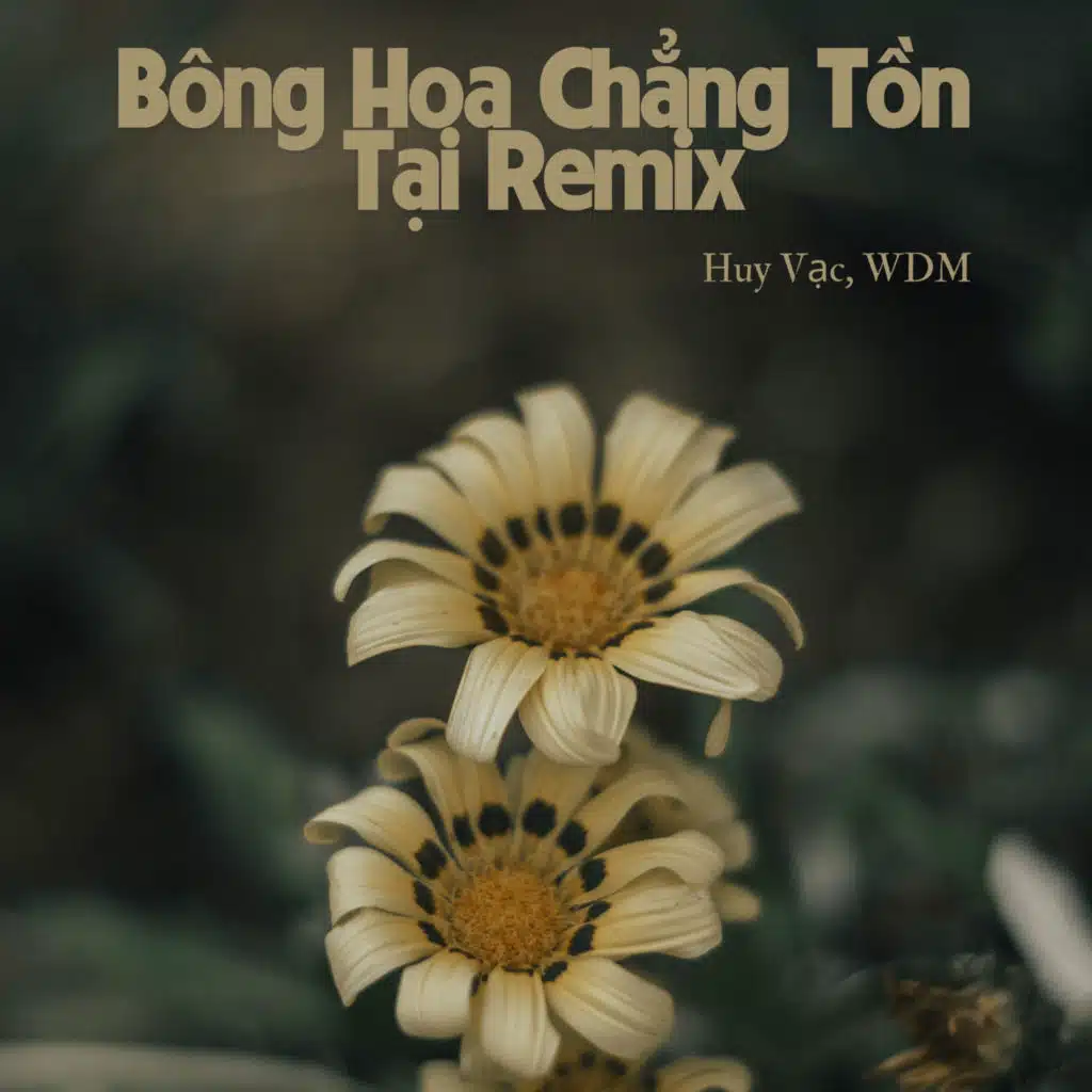 Huy Vạc & WDM
