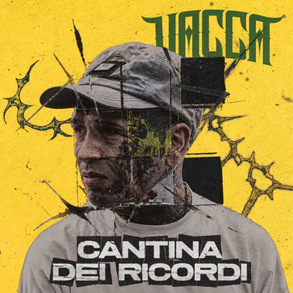 Vacca