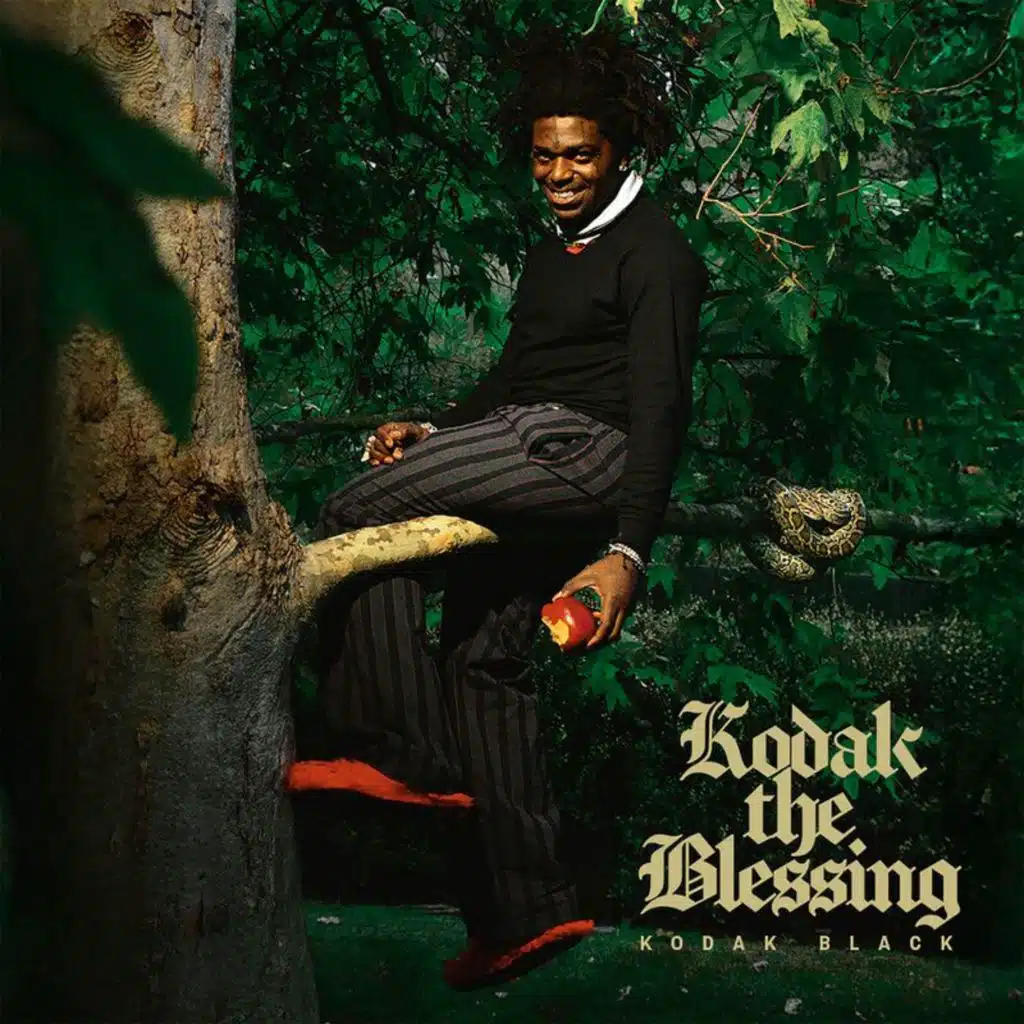 Kodak The Blessing