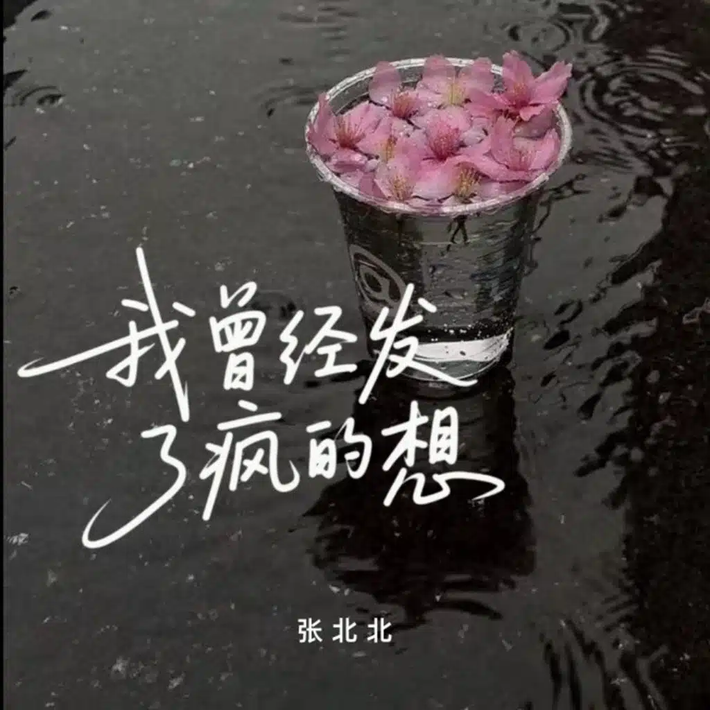 Zhang Bei Bei