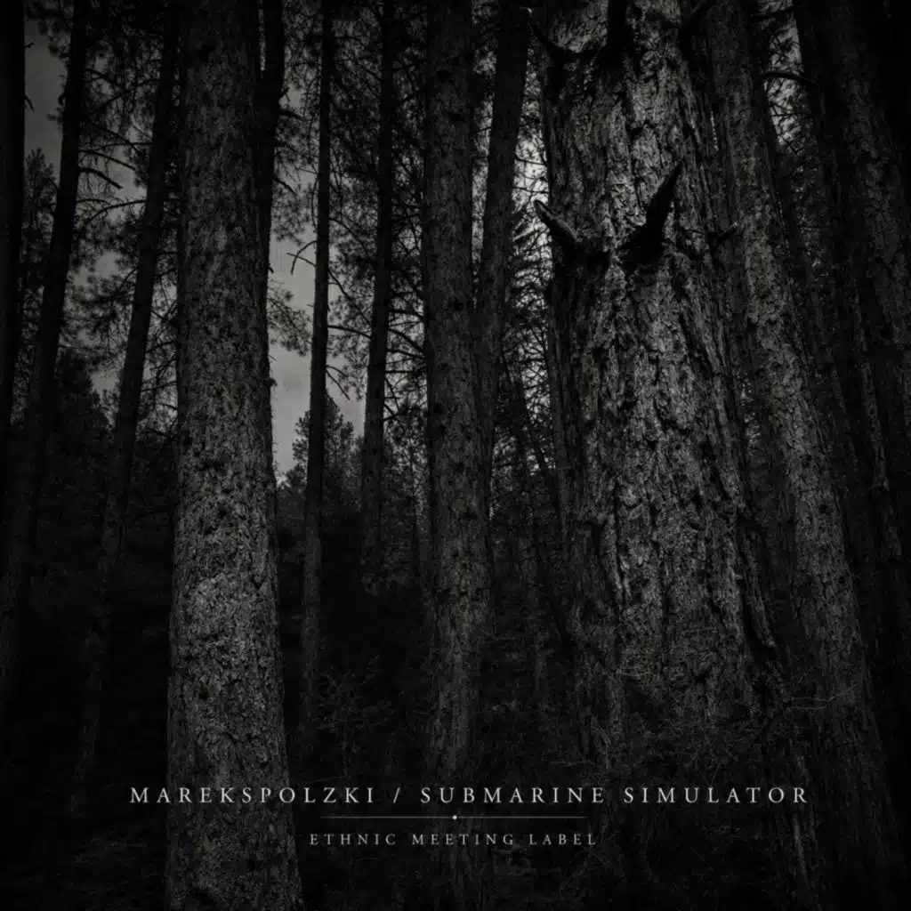 MarekSPolzki