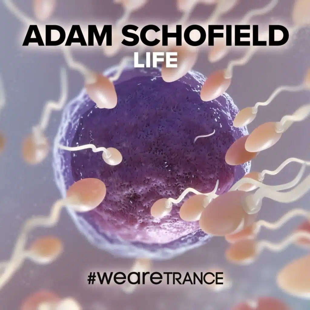 Adam Schofield