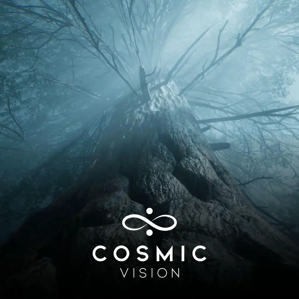 Cosmic Vision