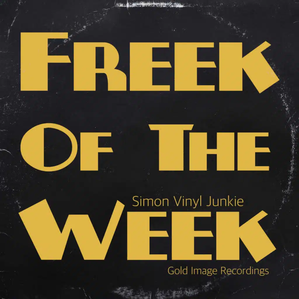 Simon Vinyl Junkie
