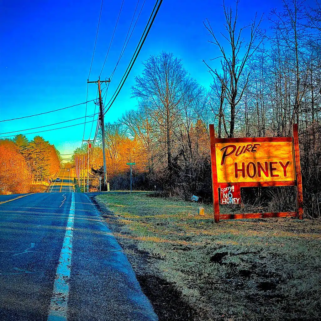 Pure Honey (Sorry! No Honey)