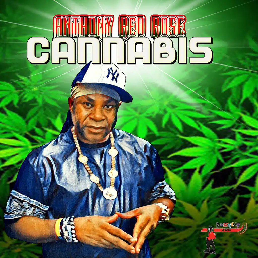Anthony Red Rose