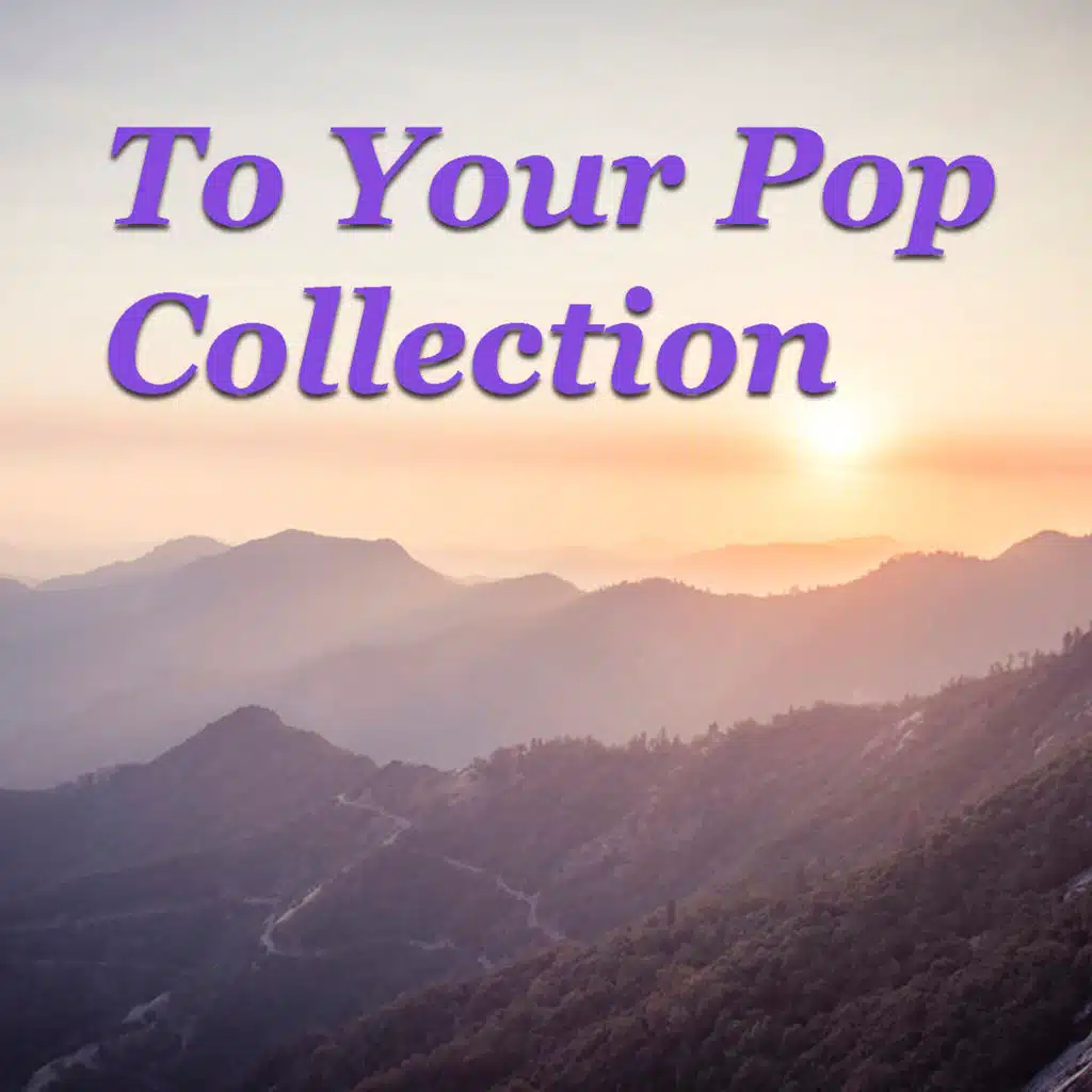 To Your Pop Collection