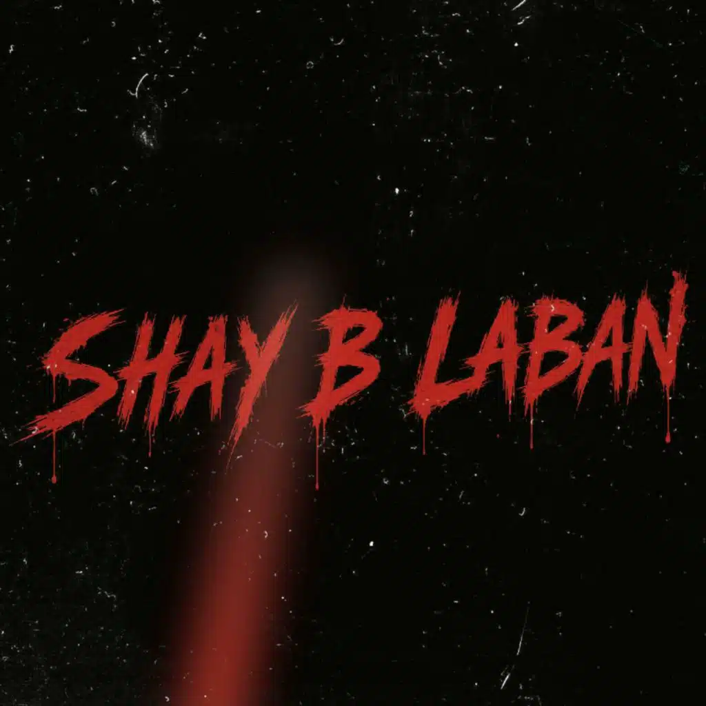 SHAY B LABAN