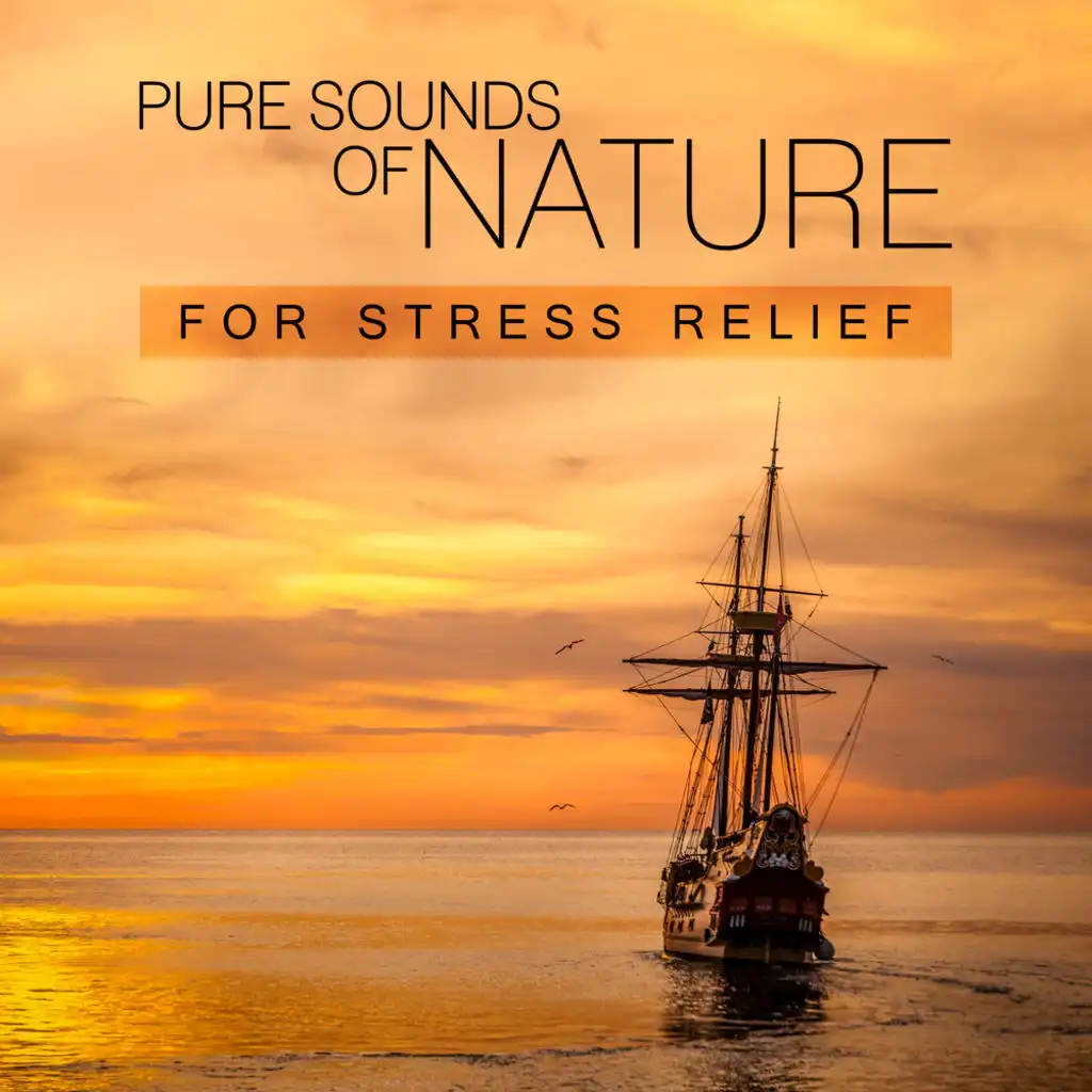 Pure Sounds of Nature for Stress Relief