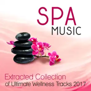 Spa Music : Extracted Collection of Ultimate Wellness Tracks 2017 Music Zen New Age & Healing Nature Sounds