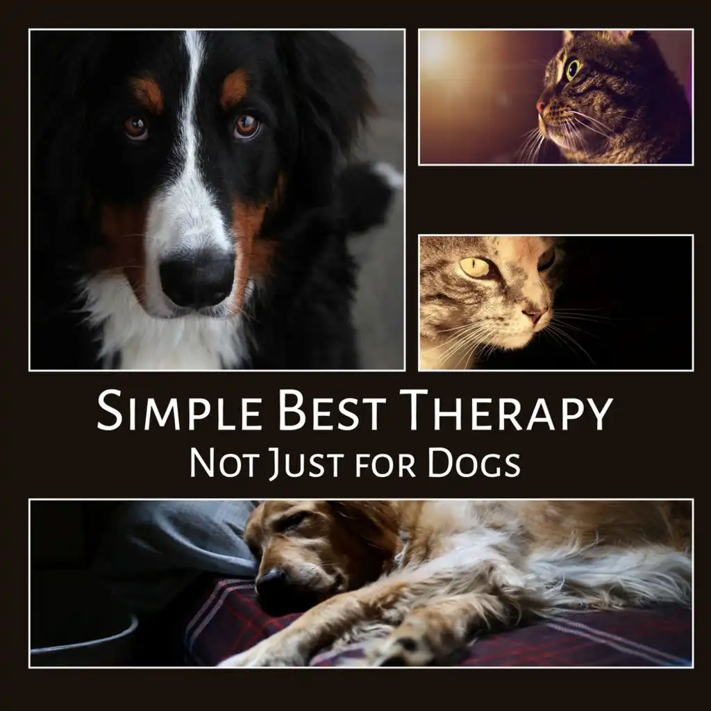 Simple Best Therapy Not Just for Dogs: Calm Down Your Pet, Cat or Other Animal, Deep Relaxation for Your Pupils, Stress Reduction, Fight Anxiety, Nature Sounds for Dog Comfort & Sleep