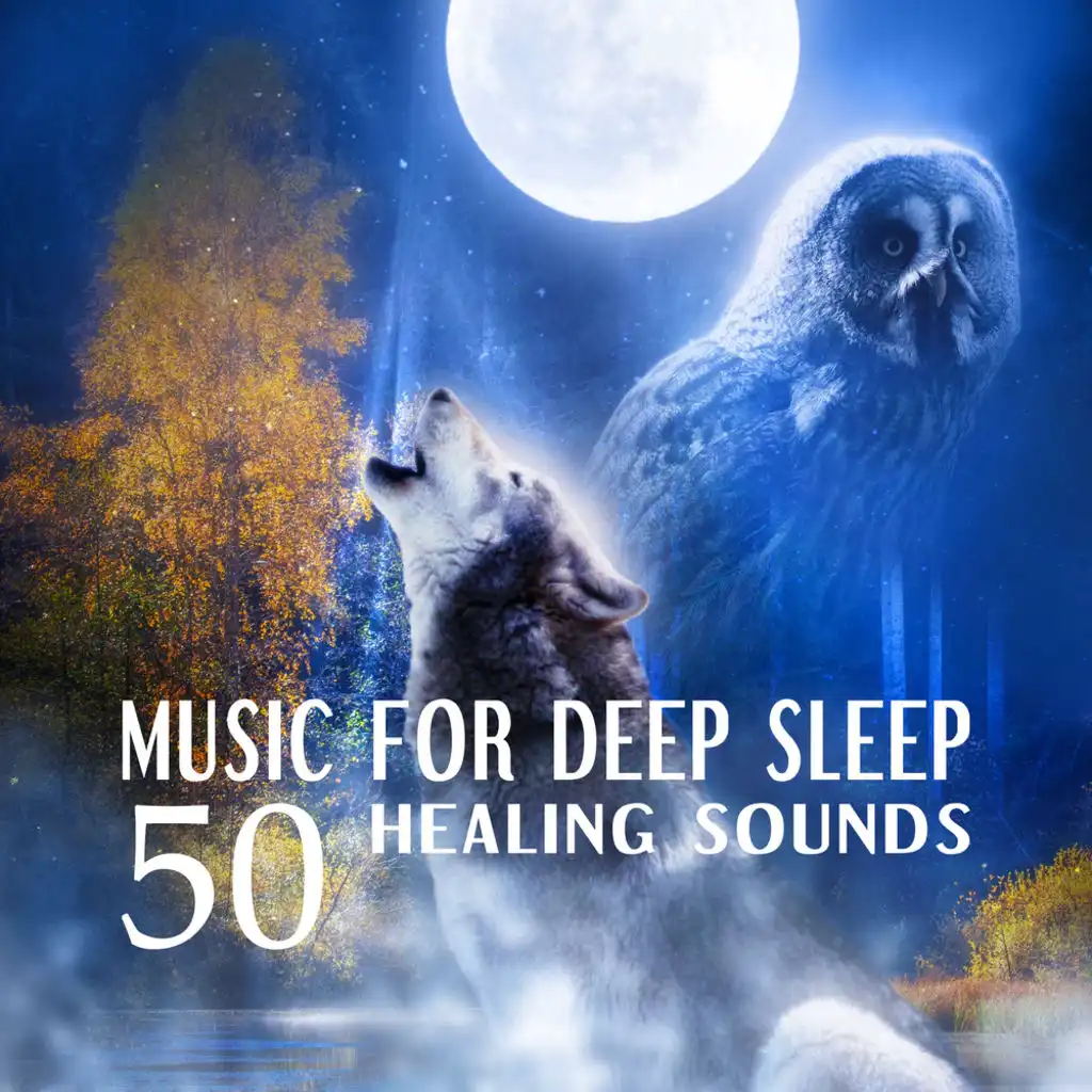 Music for Deep Sleep (Soft Rain)