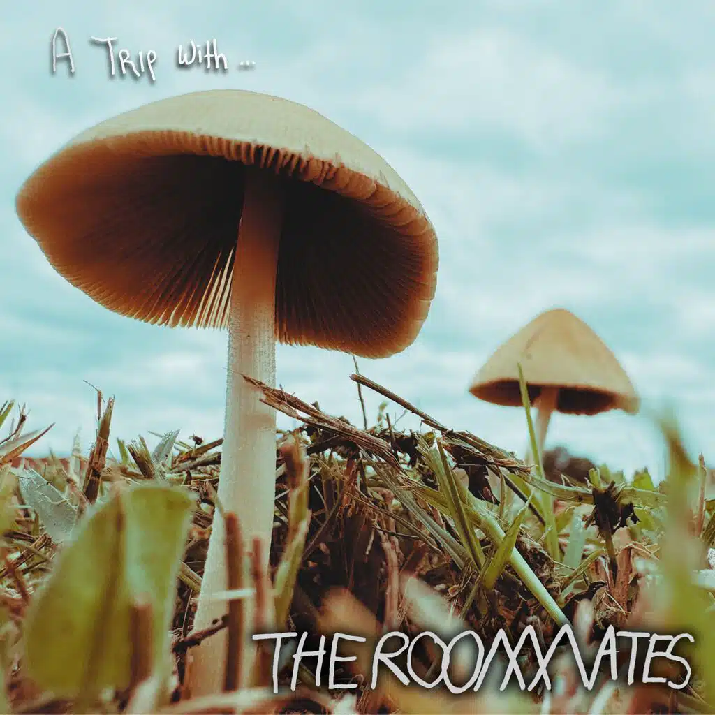 A Trip With... The Roommates