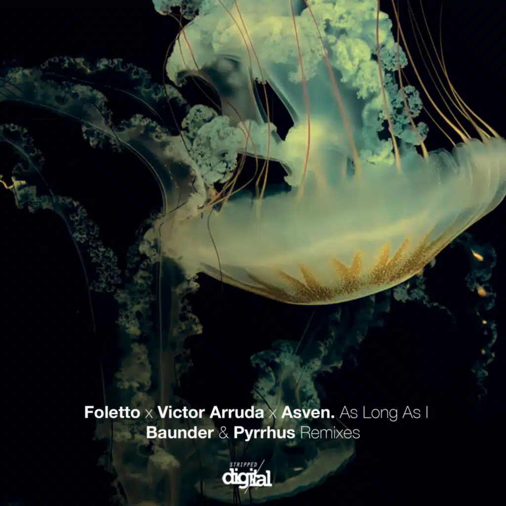 As Long as I (Pyrrhus Vocal Remix Edit)